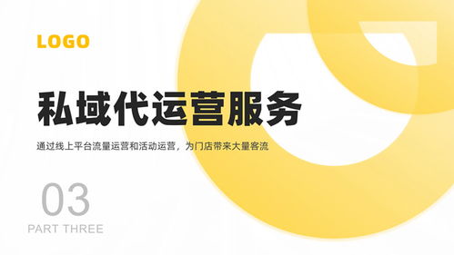 软件运营服务公司产品介绍PPT模板