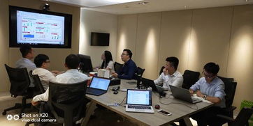 大运营咨询项目驱动卓越置业集团运营提效 科技信息咨询服务的战略赋能